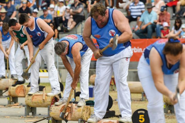  A group of wood choppers in a competition in Sydney to illustrate Languages face chop as Macquarie focuses on ‘cultural fluency’